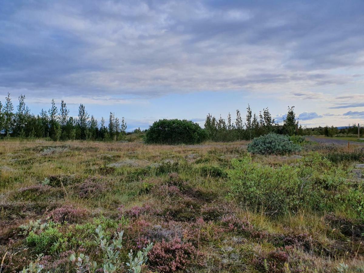 Adventure Eagle Cottege Villa Geysir Exterior foto